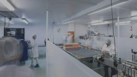 afriplex