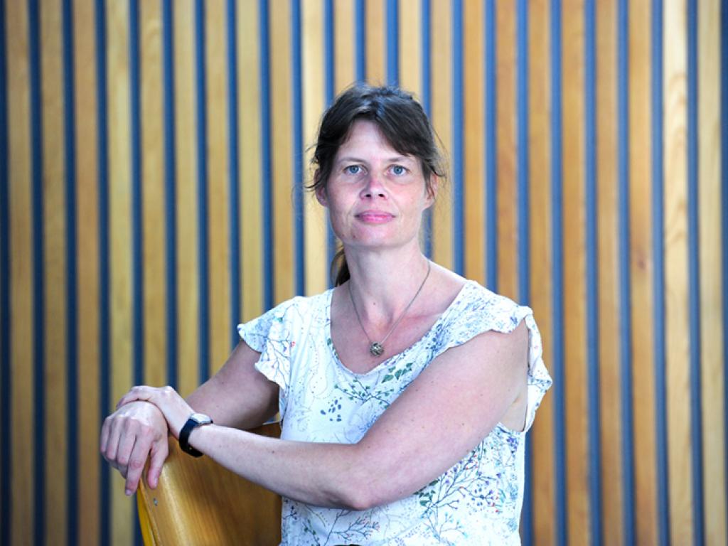 Prof Ines Meyer